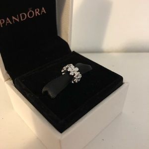 Pandora charm